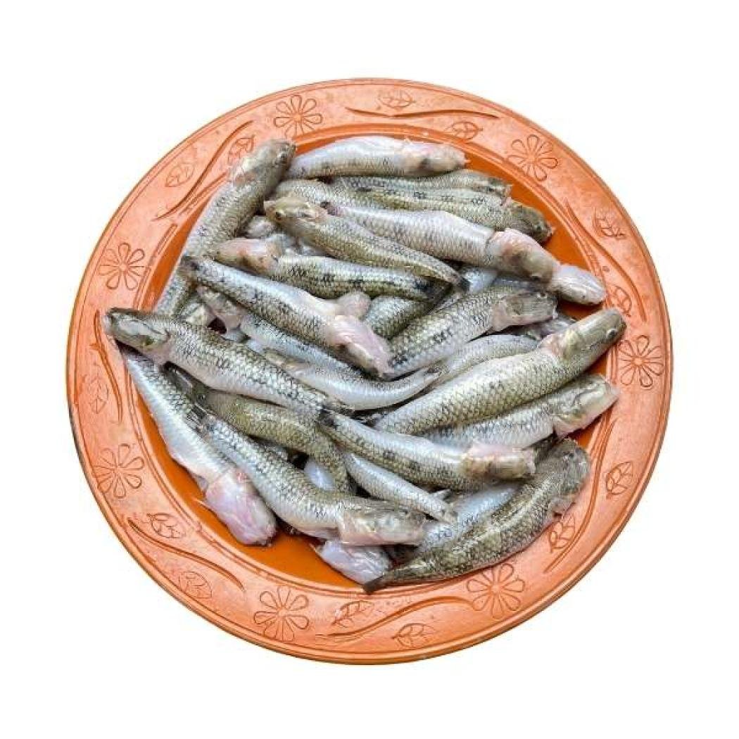 ছোট বেলে